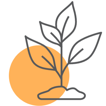 Plant icon orange