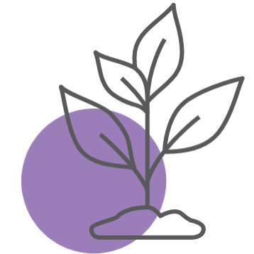 Plant icon purple